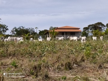 Fazenda - Venda - Zona Rural - Riacho dos Machados - MG